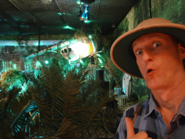 Jungle explorer walk act in great event decoration.