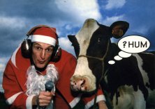 1998 HUM - Europas einzige rückwärtssprechende Kuh Weihnachtskarte 